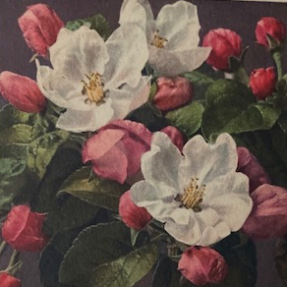 Sometimes The Dress Picks You!